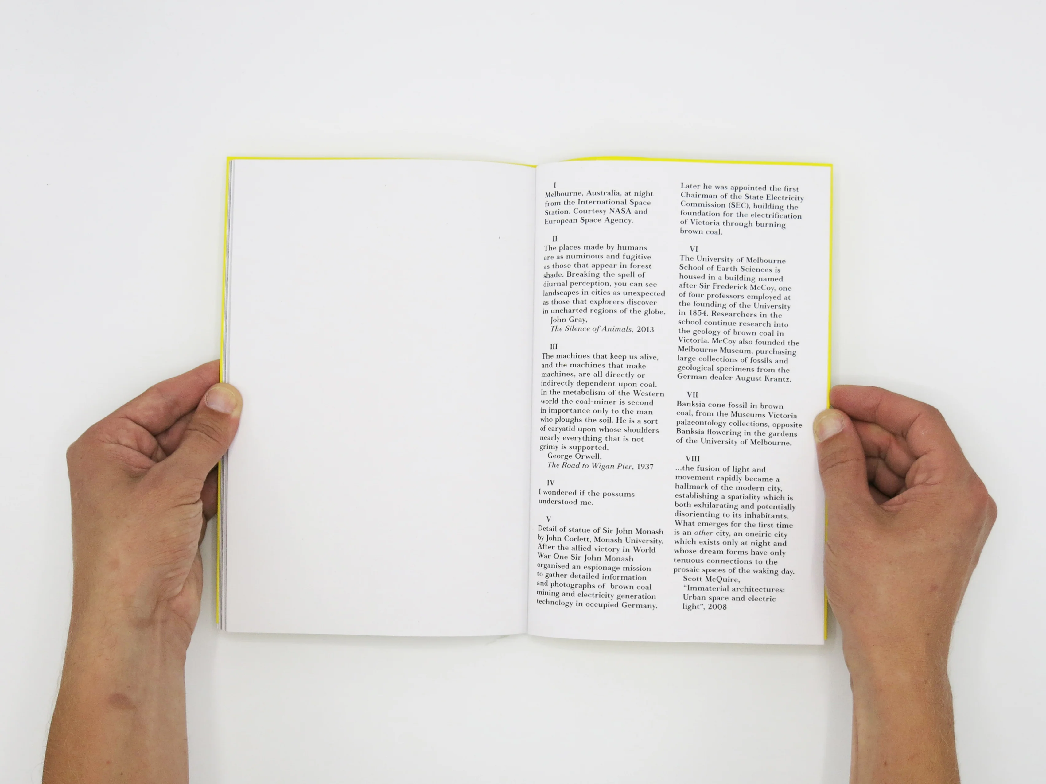 Felix Wilson – Nocturnal Ecologies - Image 9