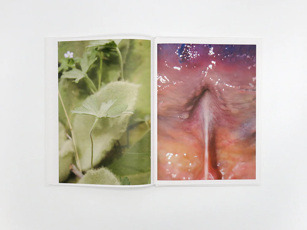 Honey Long and Prue Stent – Drinking From The Eye - Image 8
