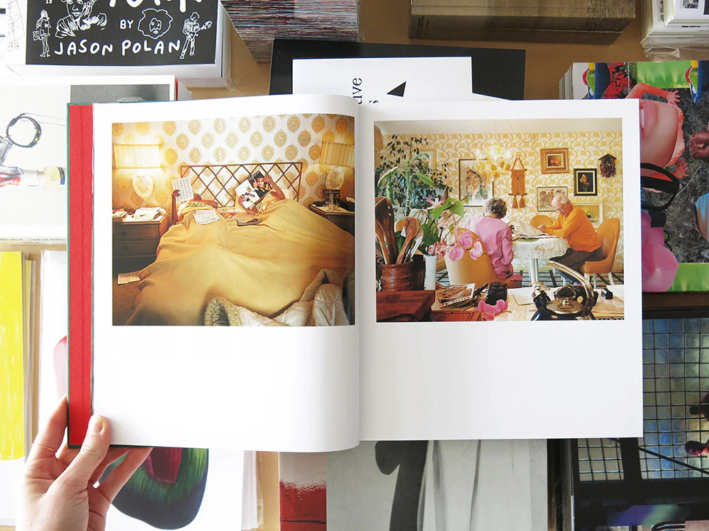 Larry Sultan – Pictures From Home - Image 2