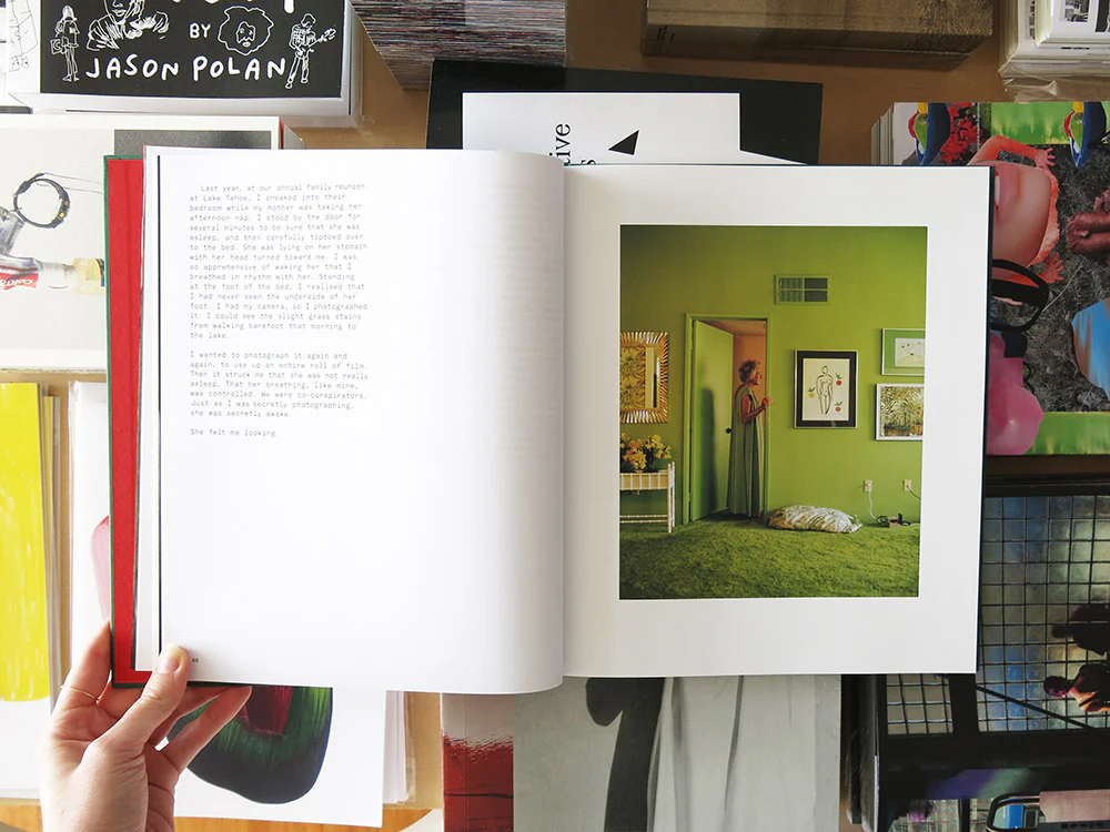Larry Sultan – Pictures From Home - Image 3