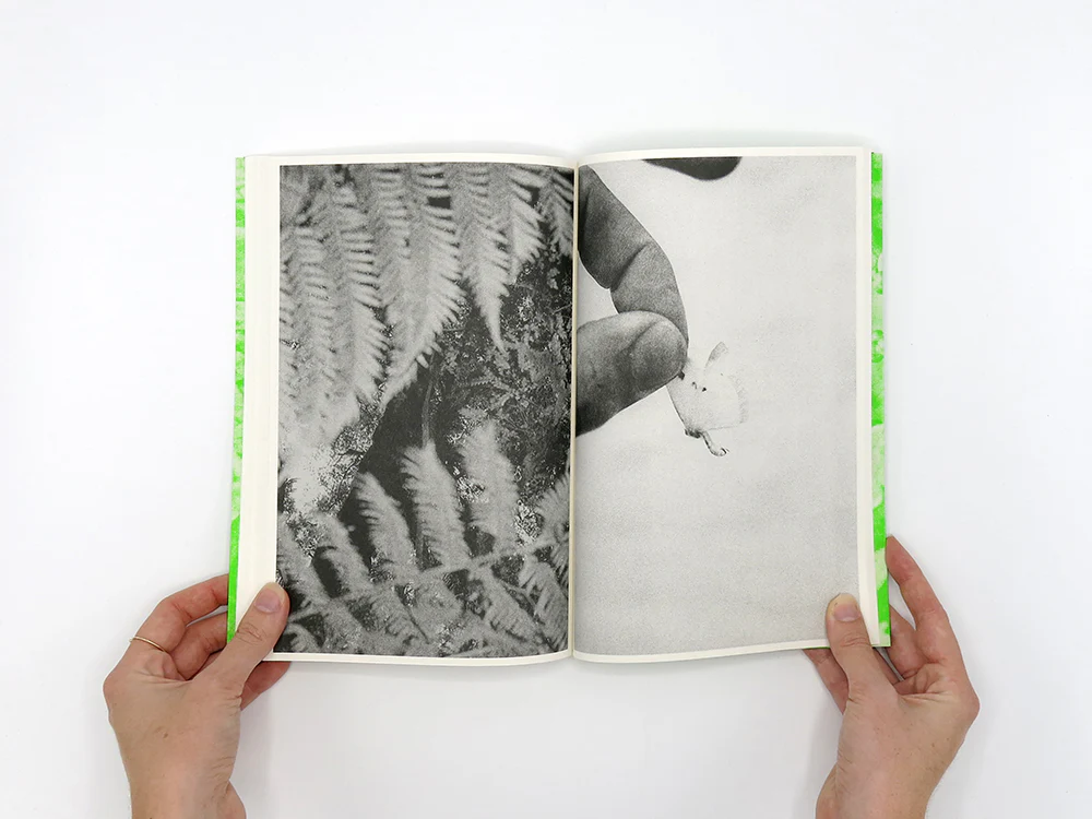 Luke Le – What are you looking for? - Image 11