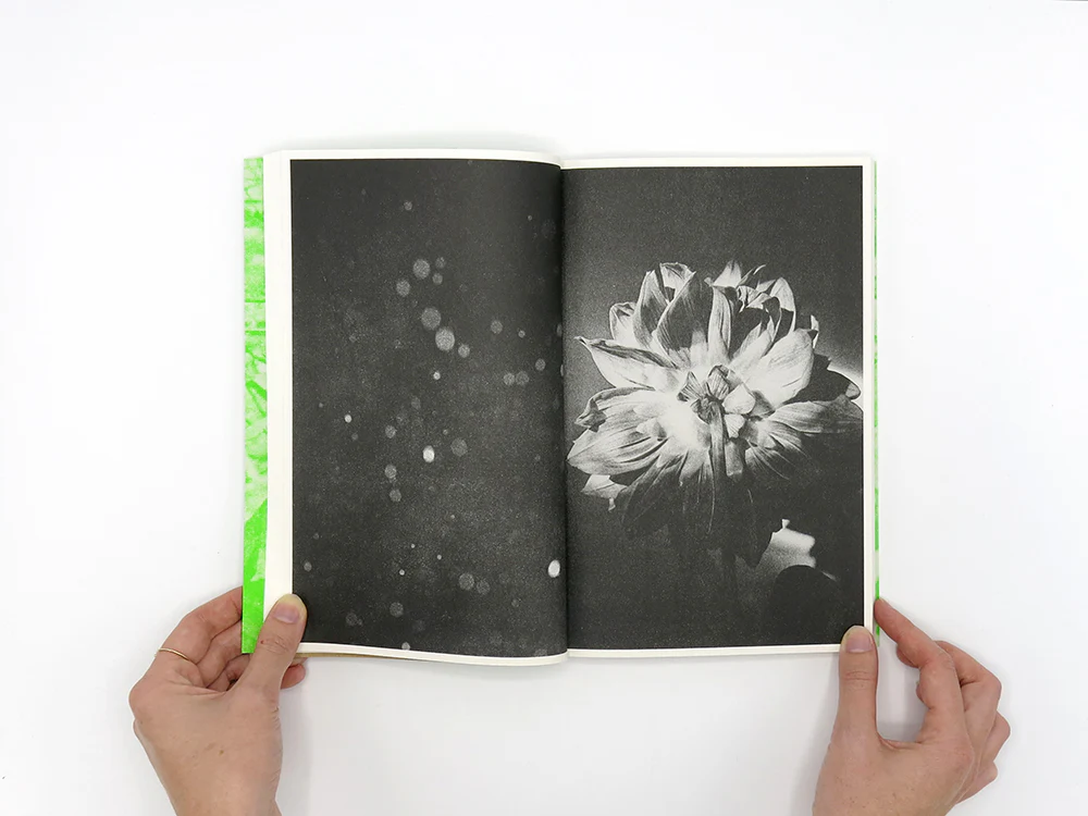 Luke Le – What are you looking for? - Image 5