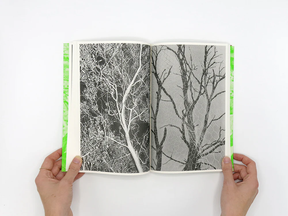 Luke Le – What are you looking for? - Image 8