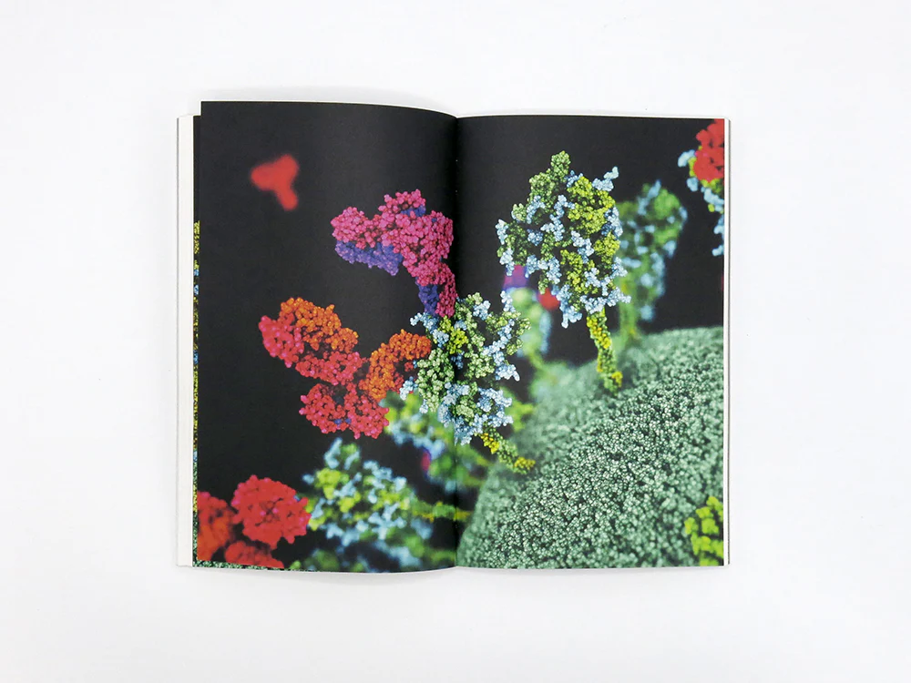 Sight Unseen: Visualising the Unseeable through Art and Science - Image 7