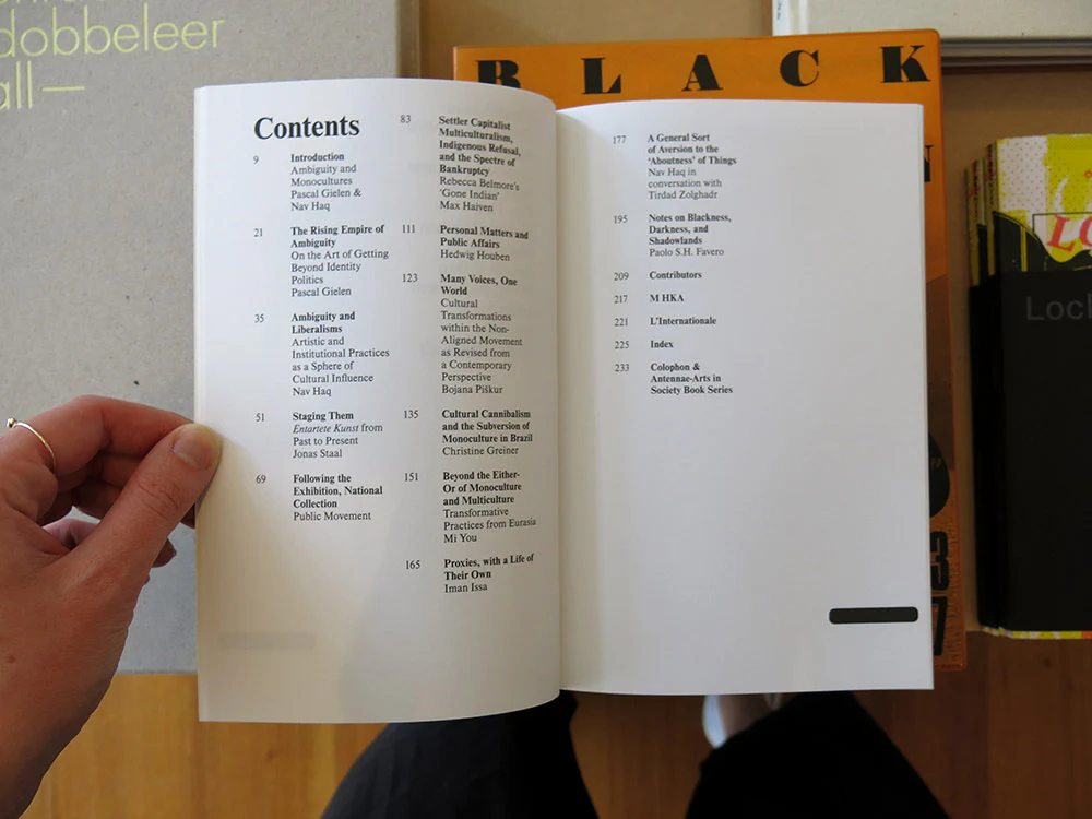 The Aesthetics of Ambiguity: Understanding and Addressing Monoculture - Image 2