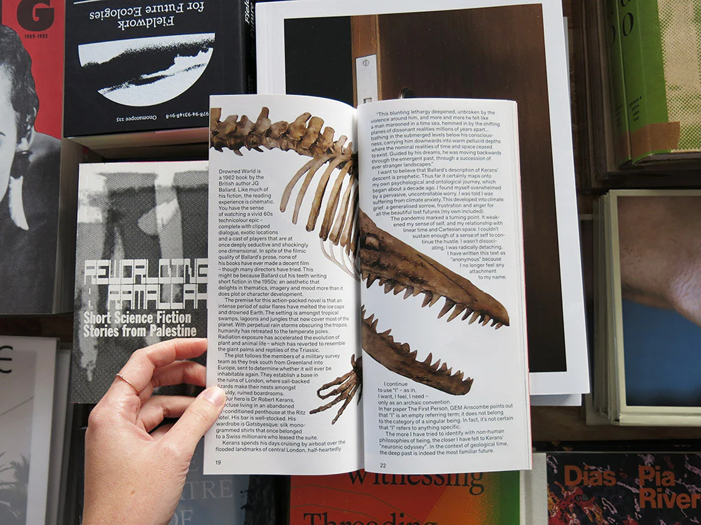 Real Review 16 - Image 2