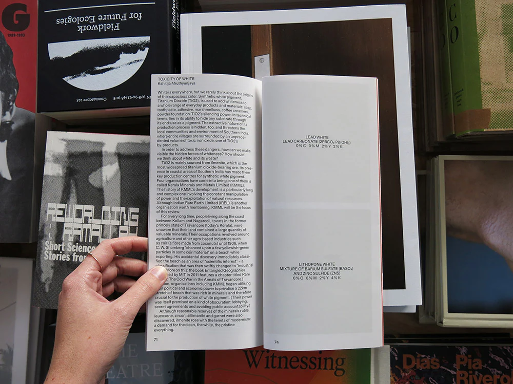 Real Review 16 - Image 5