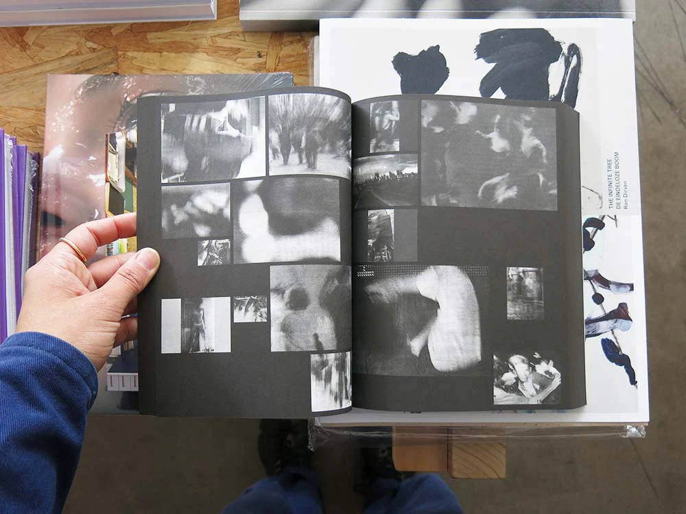 PRE-ORDER: Ria Verhaeghe – Provisoria - Image 5