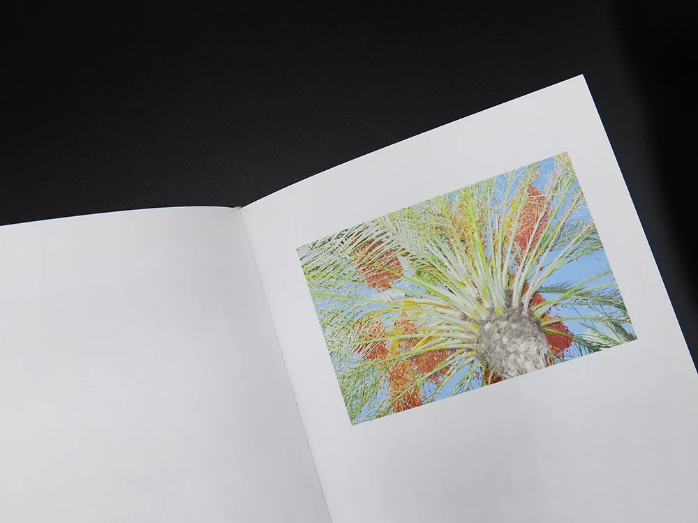 Ricardo Cases - El porqué de las naranjas (Signed, Rare) - Image 6