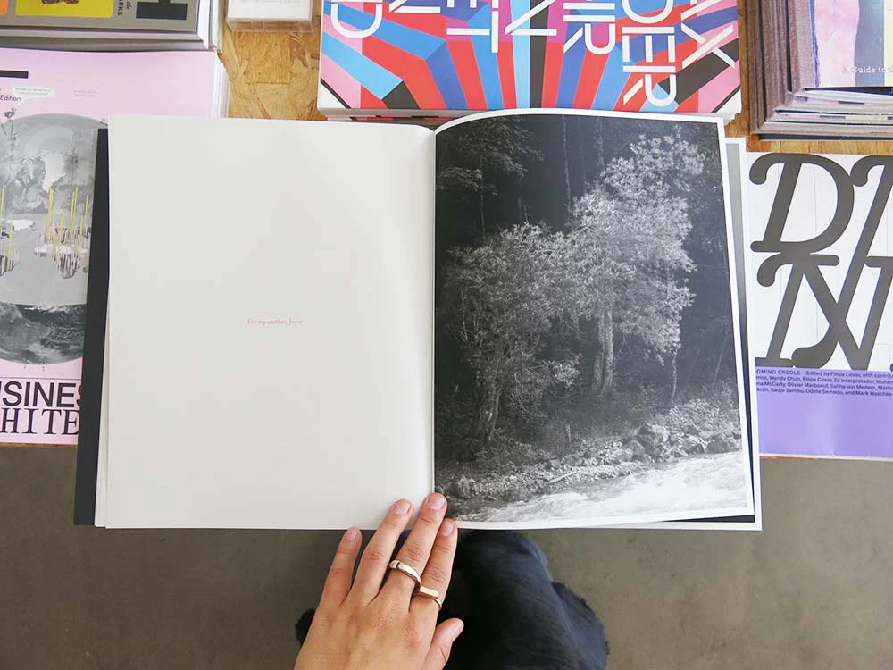 Rick van der Klooster – Between the Mountain and the River - Image 10