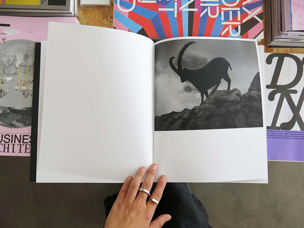 Rick van der Klooster – Between the Mountain and the River - Image 5