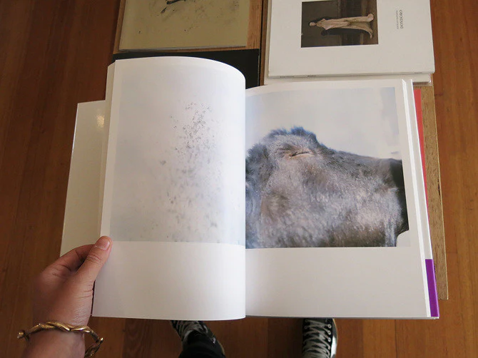 Rinko Kawauchi - Aila - Image 4