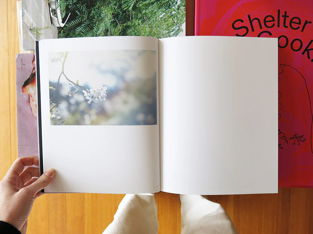 Rinko Kawauchi – On Birds (Des oiseaux) - Image 3