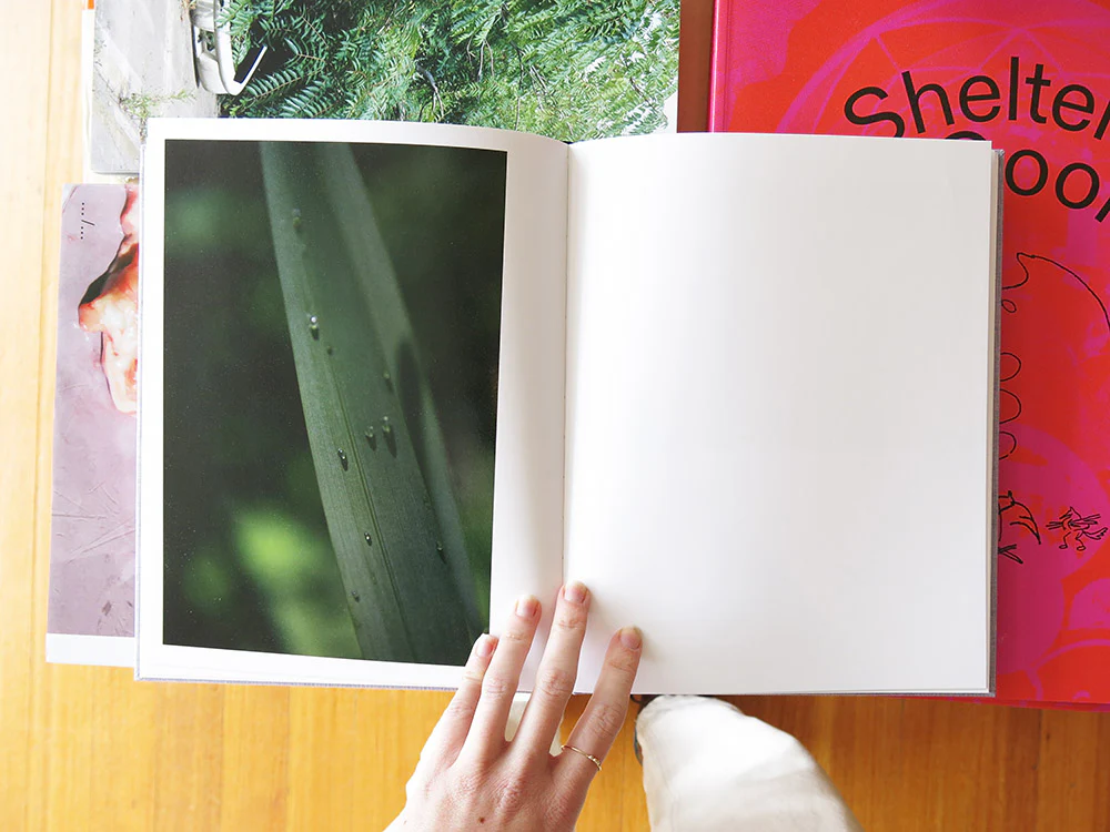 Rinko Kawauchi – On Birds (Des oiseaux) - Image 6