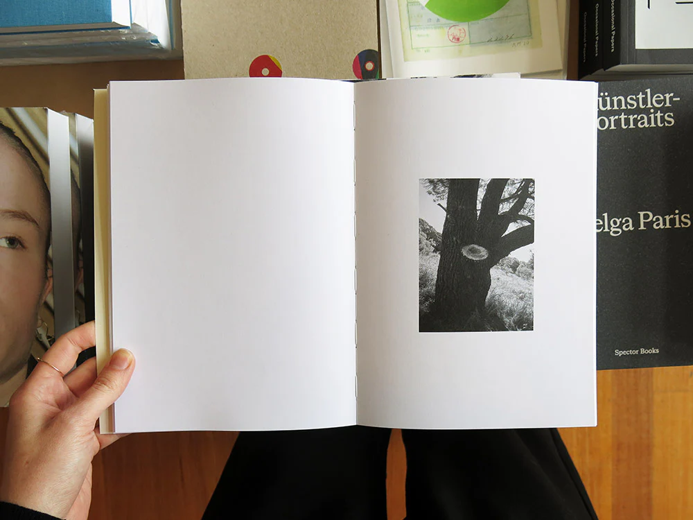 Rochelle Marie Adam – Before this comes to pass - Image 5