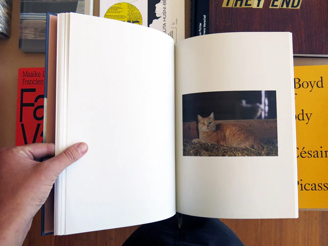Roe Ethridge – Neighbors - Image 6