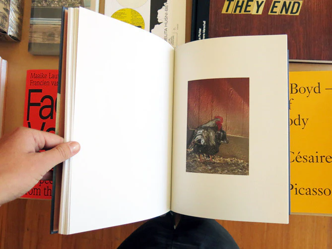 Roe Ethridge – Neighbors - Image 7