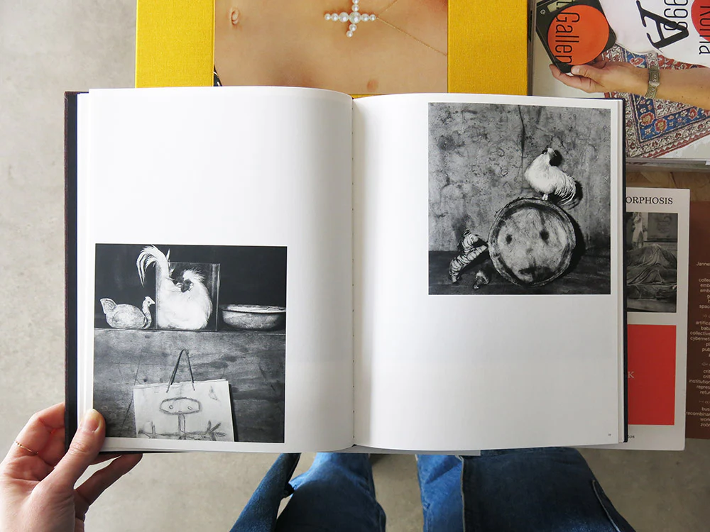 Roger Ballen – On Birds (Des oiseaux) - Image 4