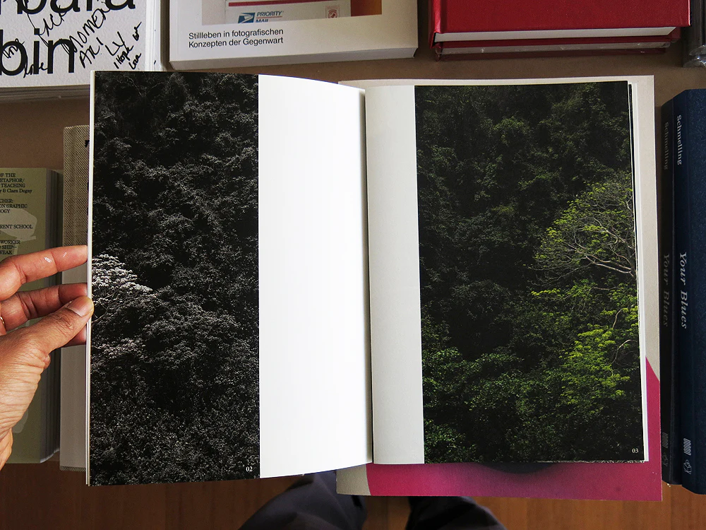 Rohan Hutchinson – Architecture for the Animals - Image 3
