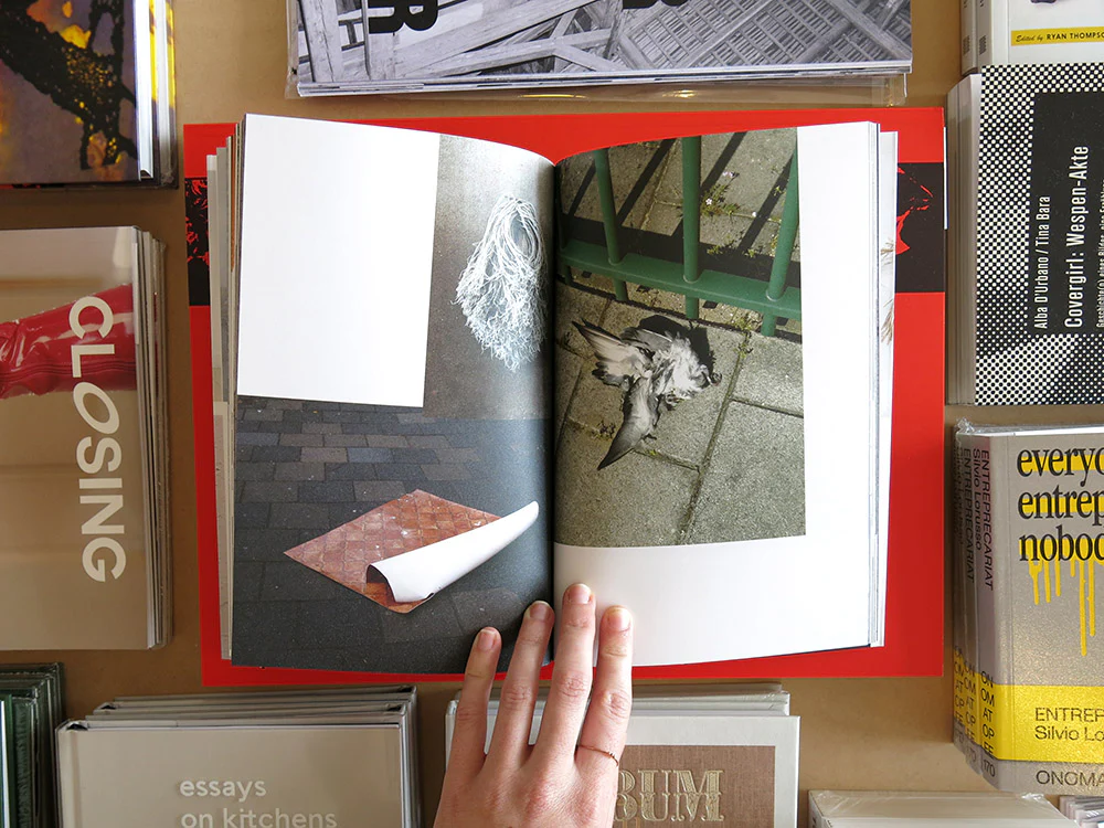 Sara Bjarland – Groundwork - Image 6