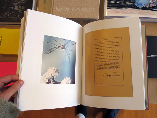 Sara Galbiati, Peter Helles Eriksen, Tobias Selnaes Markussen - Phenomena - Image 11