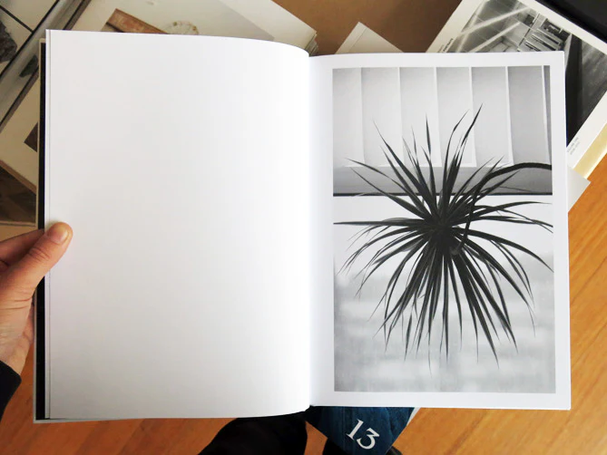 Saskia Groneberg - Buropflanze (Office Plant) - Image 2