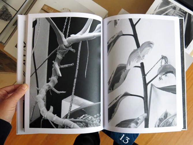 Saskia Groneberg - Buropflanze (Office Plant) - Image 5