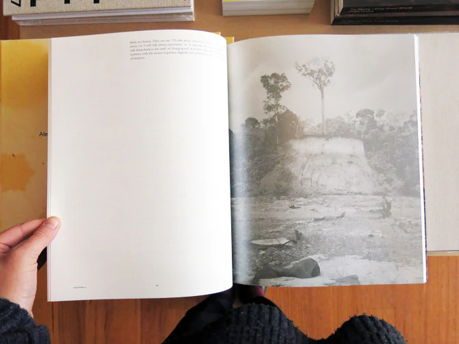 Scavengers & Other Creatures in Promised Lands - Image 3