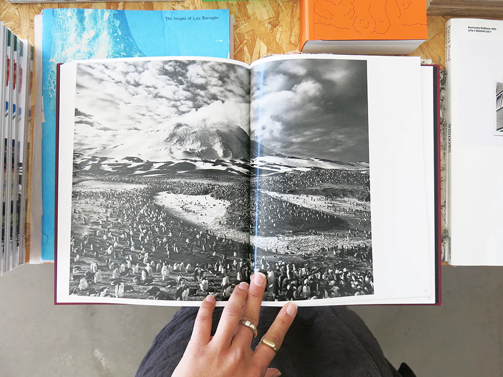 Sebastião Salgado: On Birds (Des oiseaux) - Image 7