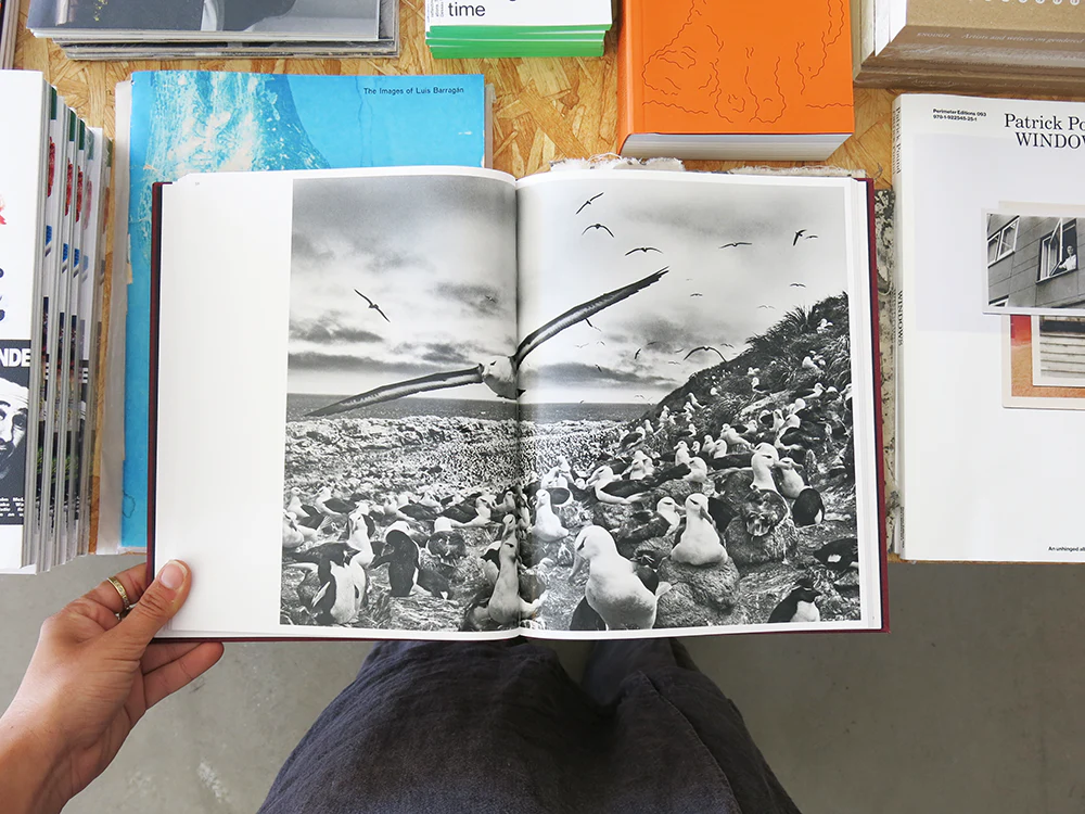 Sebastião Salgado: On Birds (Des oiseaux) - Image 9