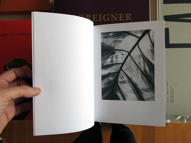 Sergey Kostromin - Symbol - Image 4