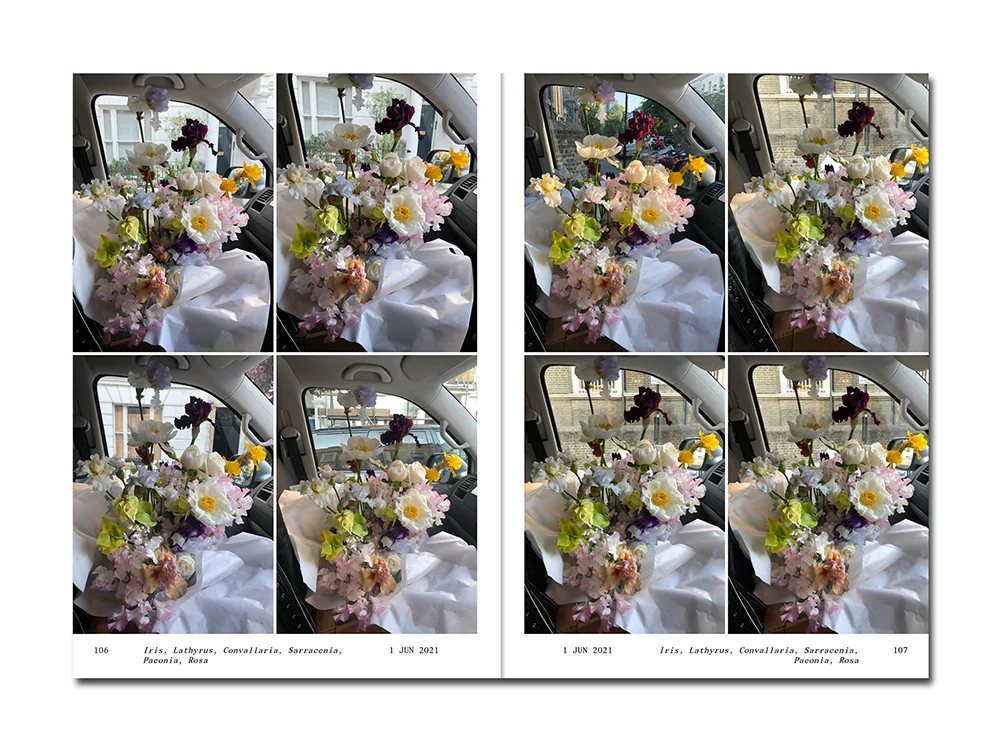 PRE-ORDER: Simone Gooch – Flowers in the Front Seat - Image 10