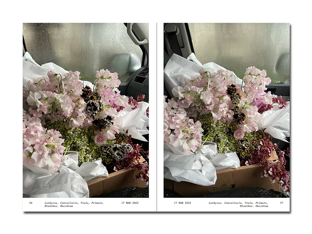 PRE-ORDER: Simone Gooch – Flowers in the Front Seat - Image 7
