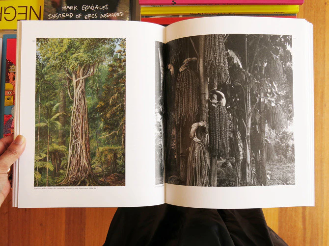 Simryn Gill - Here Art Grows On Trees - Image 4