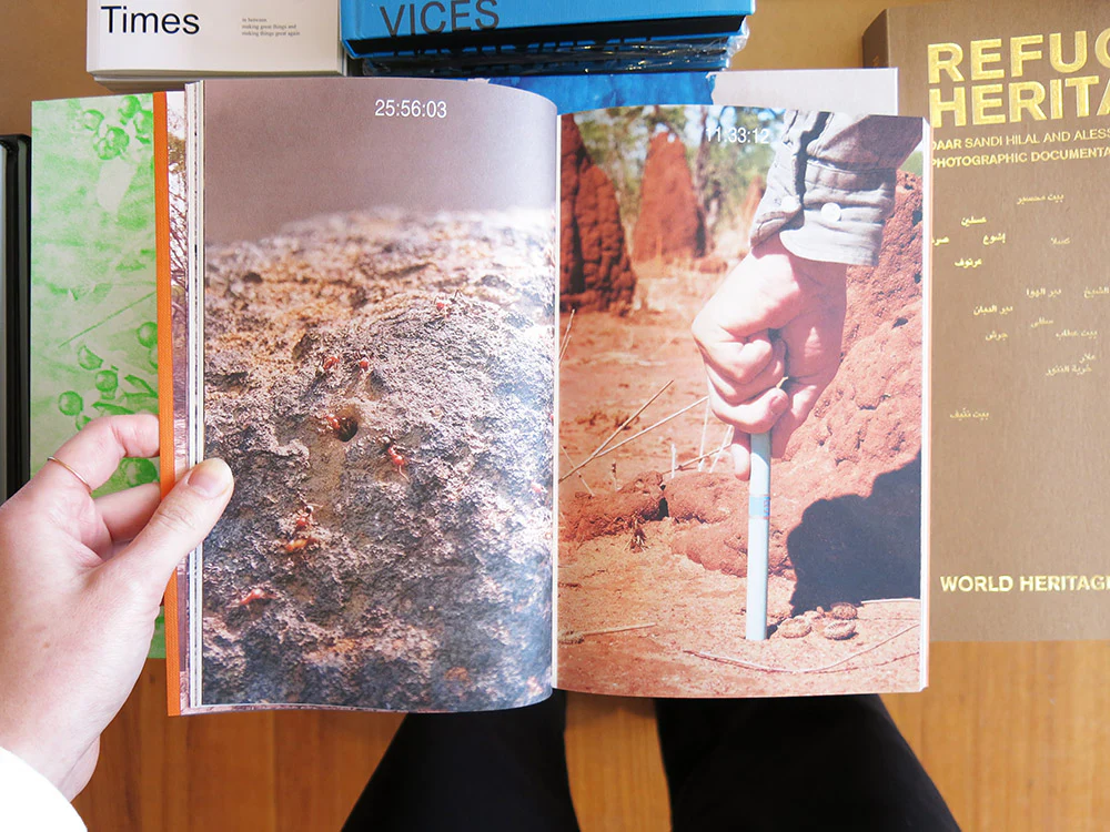 Sonia Leber and David Chesworth: Where Lakes Once Had Water - Image 3