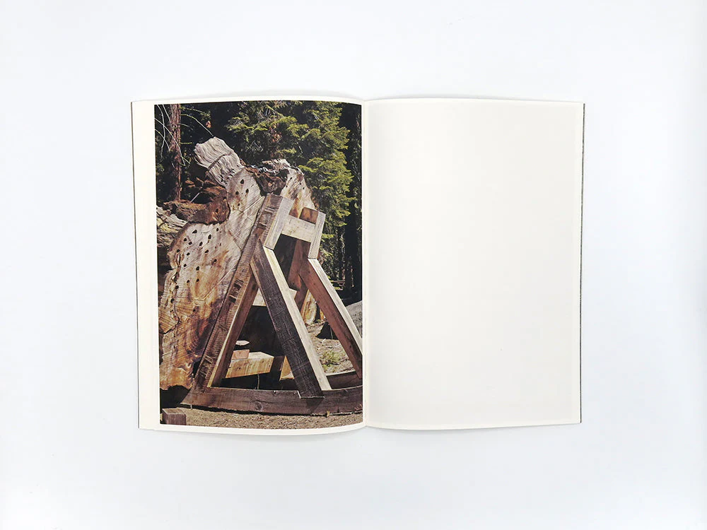 SPECIAL EDITION: Danielle Mericle – The Dark Wood - Image 11