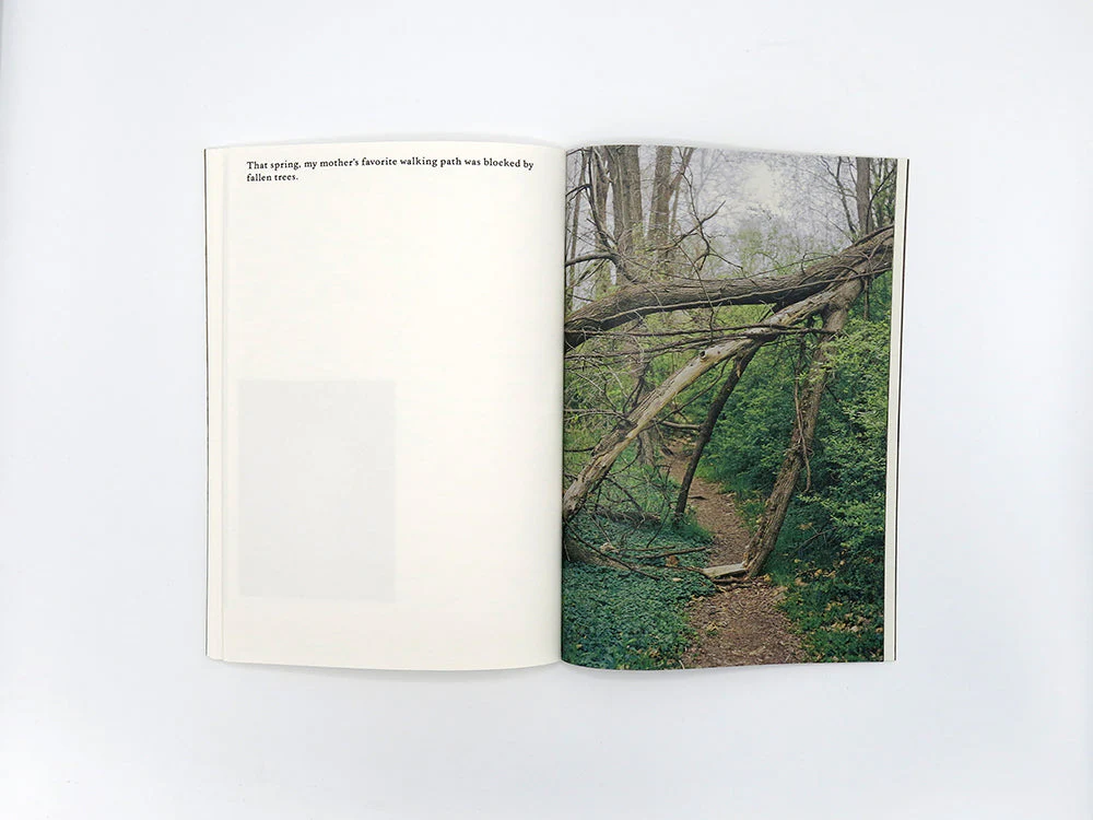 SPECIAL EDITION: Danielle Mericle – The Dark Wood - Image 13