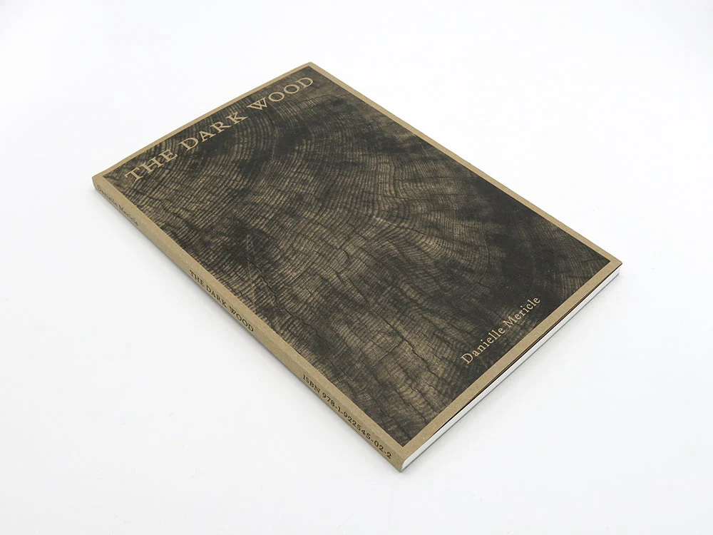 SPECIAL EDITION: Danielle Mericle – The Dark Wood - Image 3