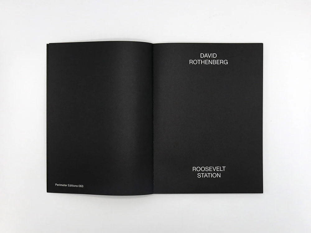 SPECIAL EDITION: David Rothenberg – Roosevelt Station - Image 4