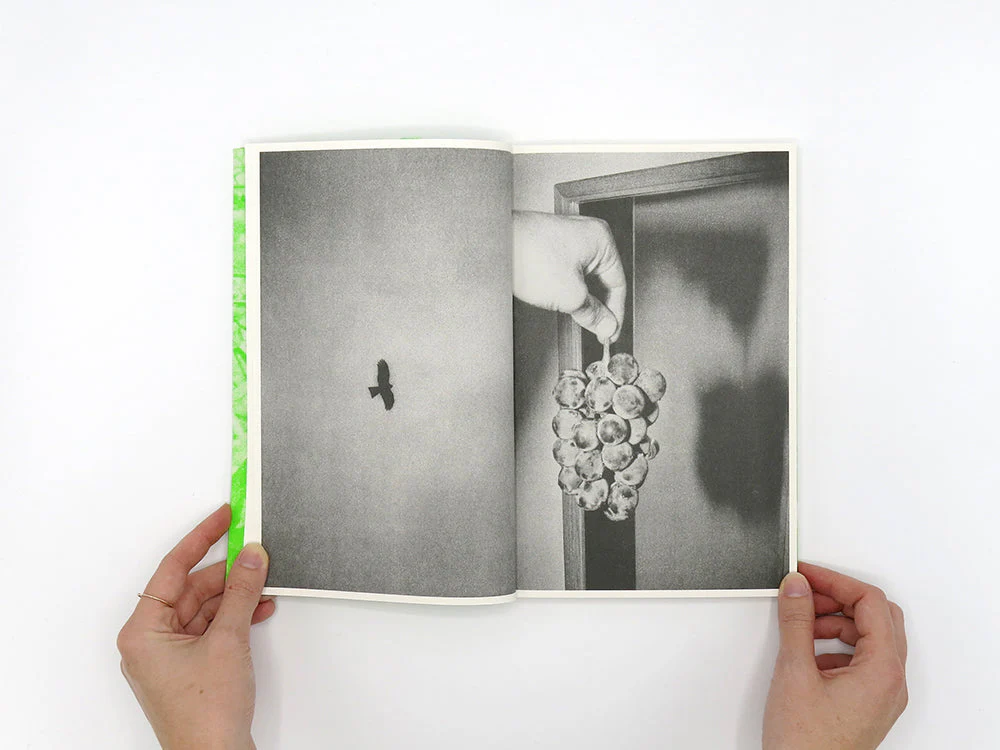 SPECIAL EDITION: Luke Le – What are you looking for? - Image 5