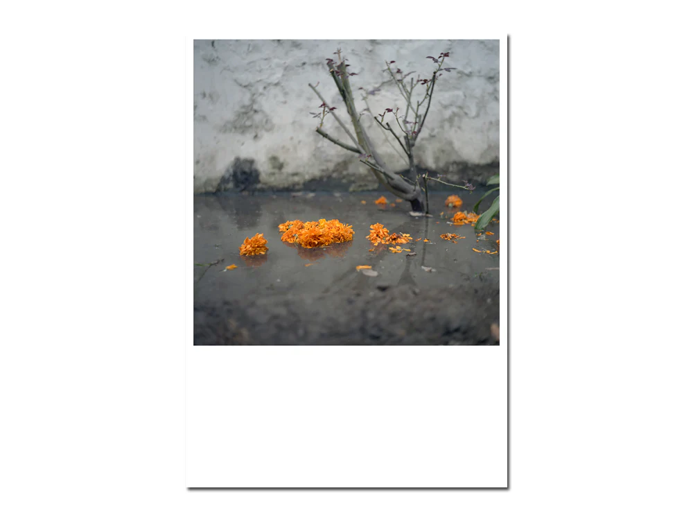 Anu Kumar – Ghar - Image 14