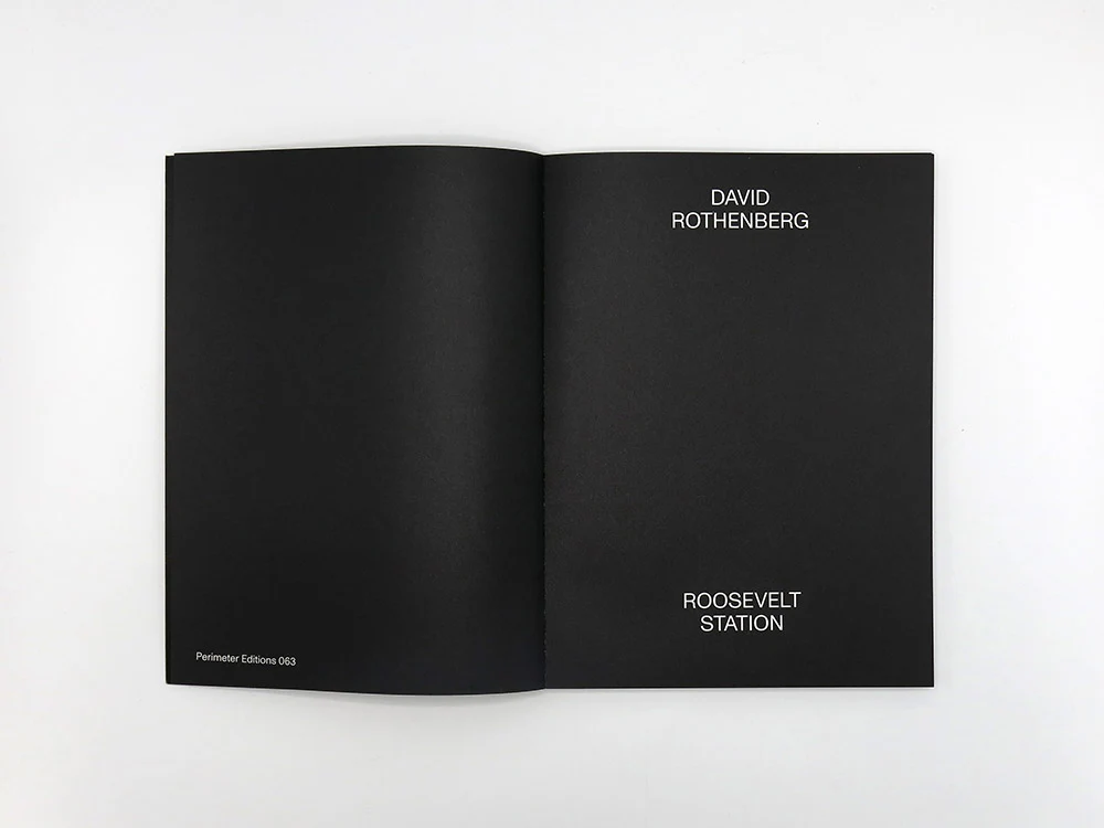 David Rothenberg – Roosevelt Station - Image 3