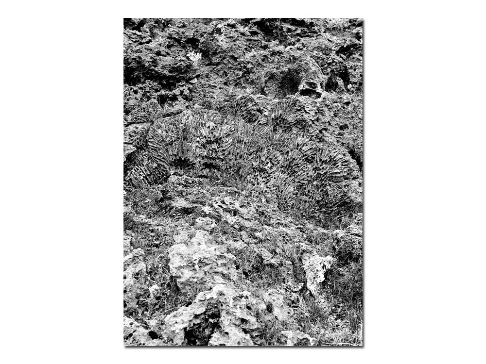 SPECIAL EDITION: Izabela Pluta – Nihilartikel - Image 12