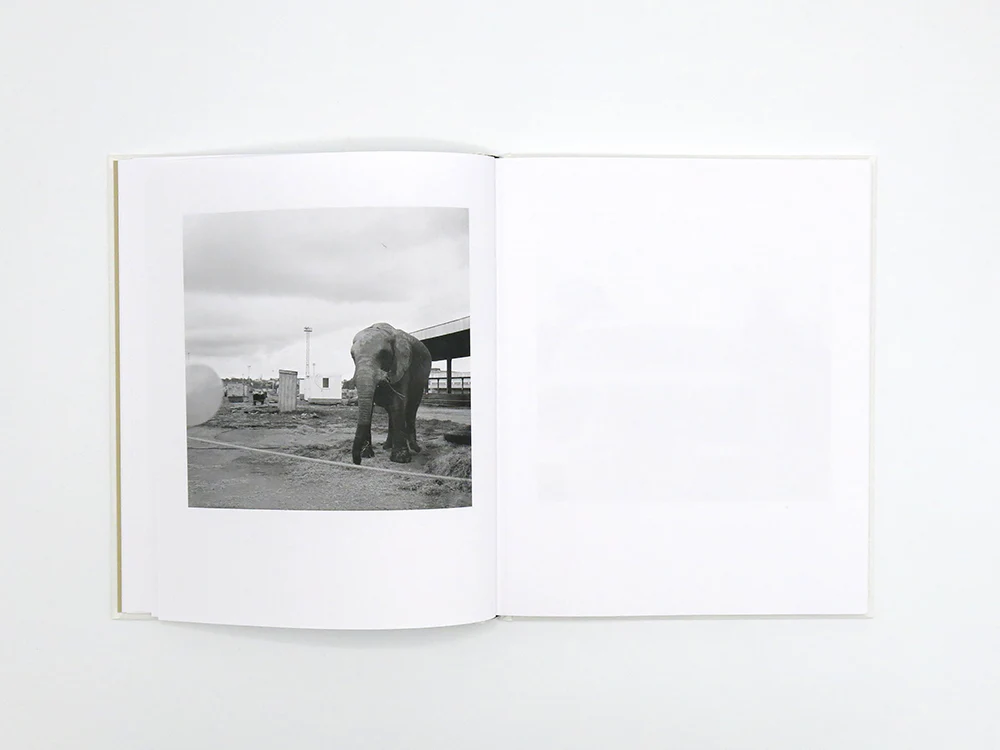 Kathryn McCool – P.North - Image 5
