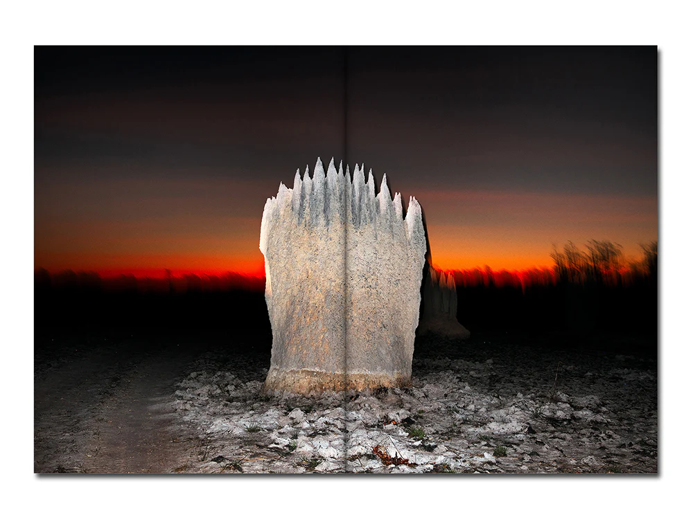 SPECIAL EDITION PRE-ORDER: Liss Fenwick – The Colony - Image 9