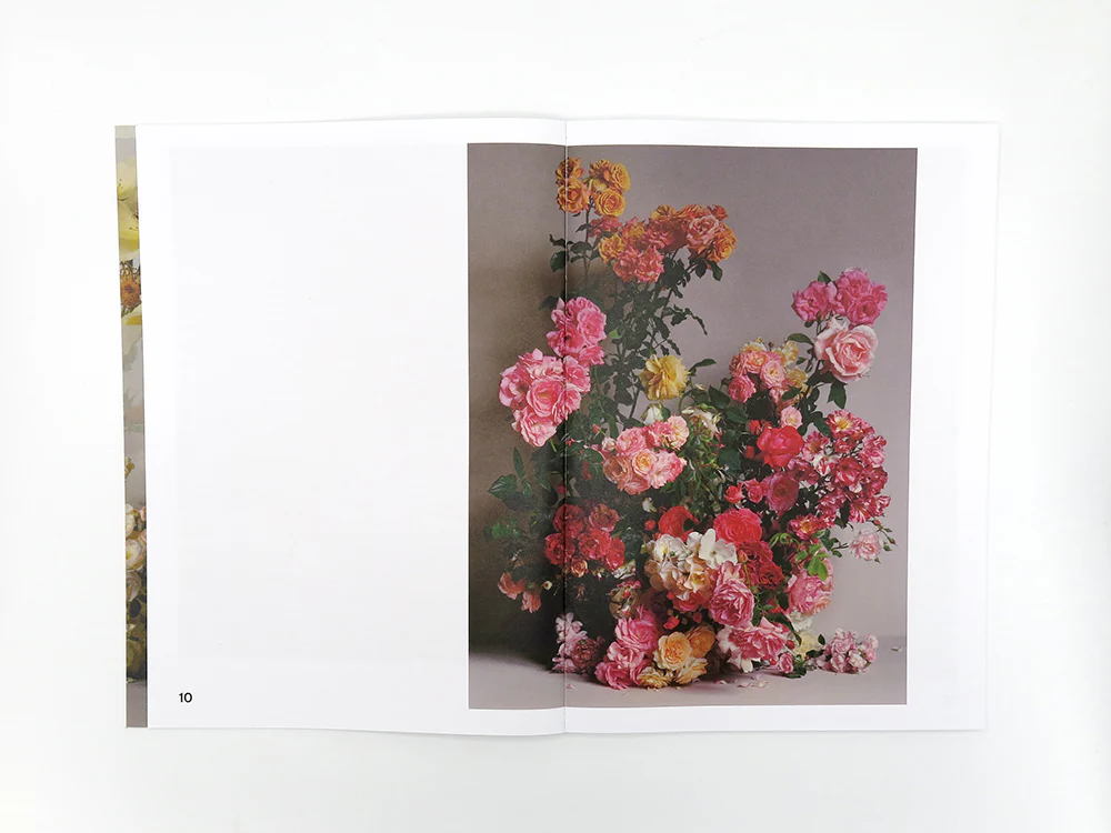 Simone Gooch + Derek Henderson – Rosa - Image 5