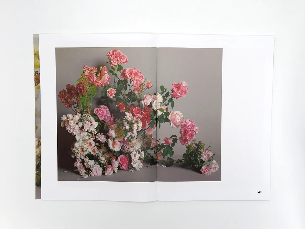 Simone Gooch + Derek Henderson – Rosa - Image 8