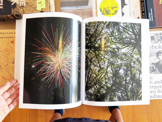 Stefano Graziani - Fruits And Fireworks - Image 10