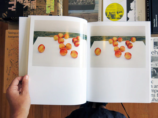 Stefano Graziani - Fruits And Fireworks - Image 8