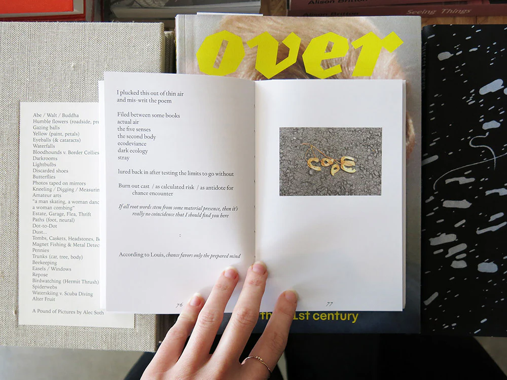 Susan Jacobs – The ants are in the idiom - Image 7